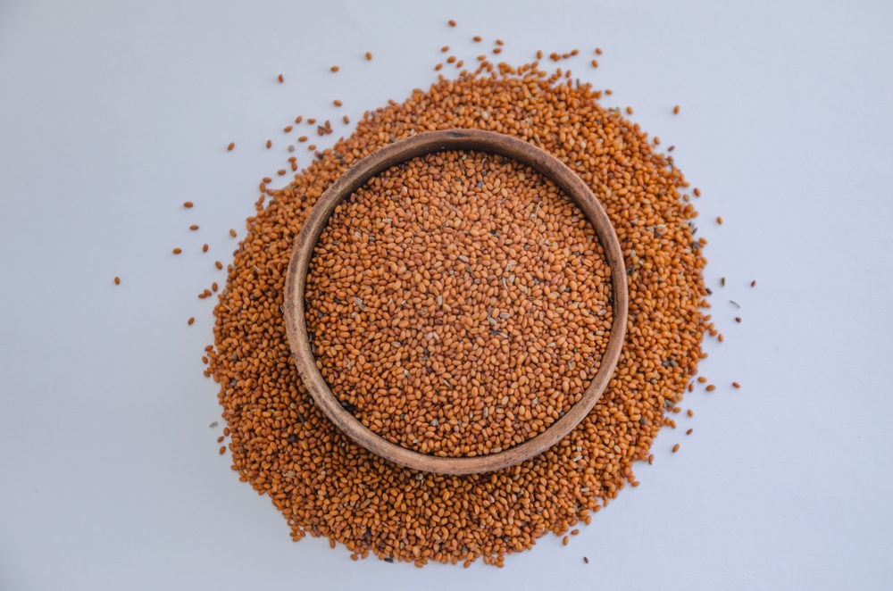 Camelina Seeds